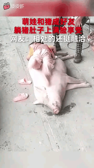 这么和谐嘛，看得我想养一只当宠物[思考]