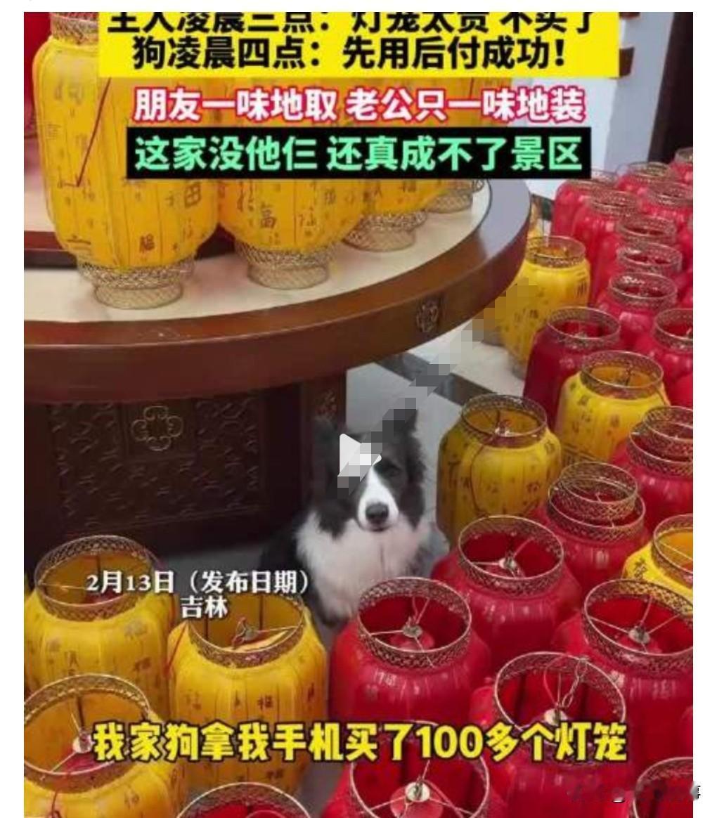 这真的是太搞笑了。2月13日，主人凌晨3点多，嫌贵人不买了，因为太困睡着了，没