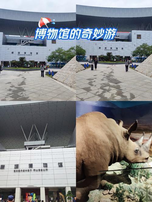 开眼了！60年前一张纸，掀翻南博8800万拍卖丑闻！家人们谁懂啊！南京博物