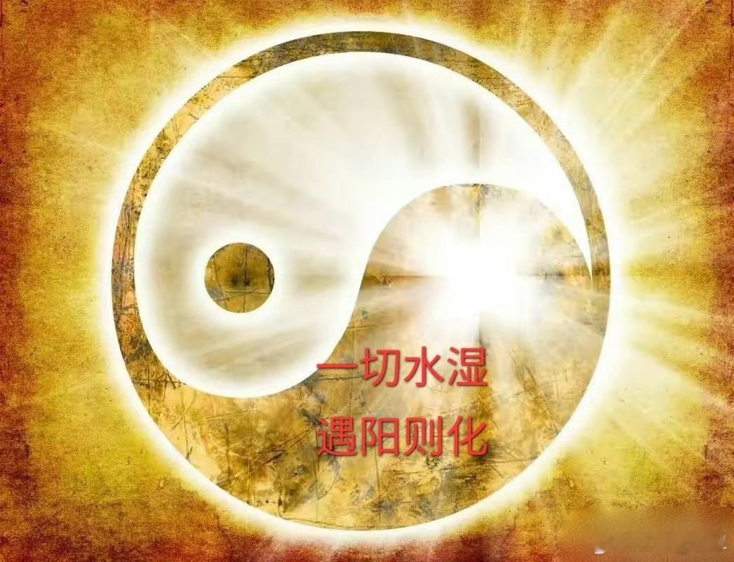 中医的核心：阴阳。一篇讲透阳化气阴成形。开篇小结：中医的核心是阴阳，其中阳化气阴