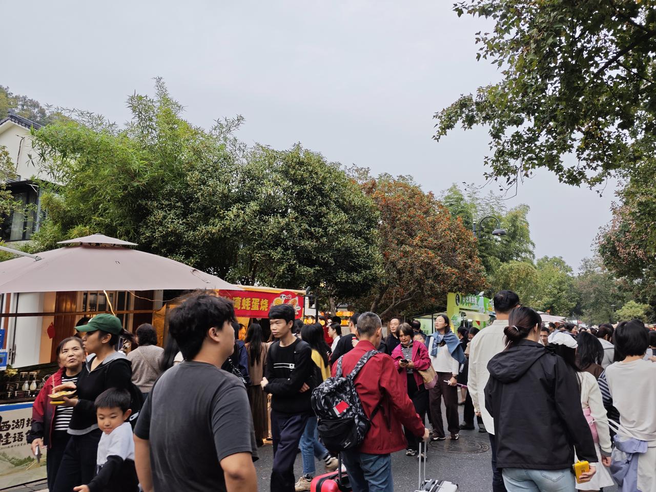 杭州又到了最美的季节，不冷不热，气温适宜，满城都是淡淡的桂花香。从钱塘江大桥开始