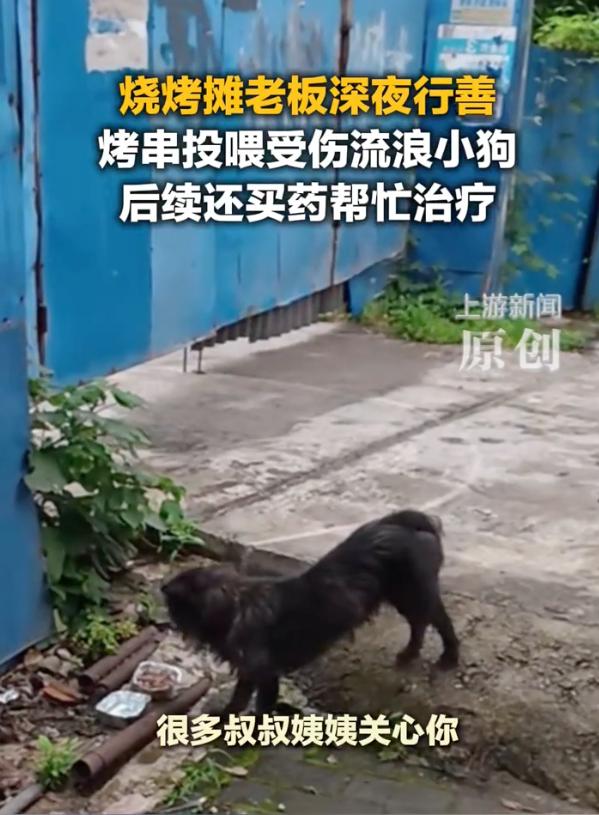 “太暖心了！”重庆，一烧烤摊老板深夜收摊时，发现一只受伤的小狗躲在摊位边上，眼睛