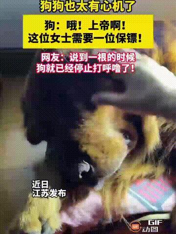 笑不活了！江苏一名女子晚上觉得肚子饿，便想去楼下超市买点食物回来，但她又不想一个