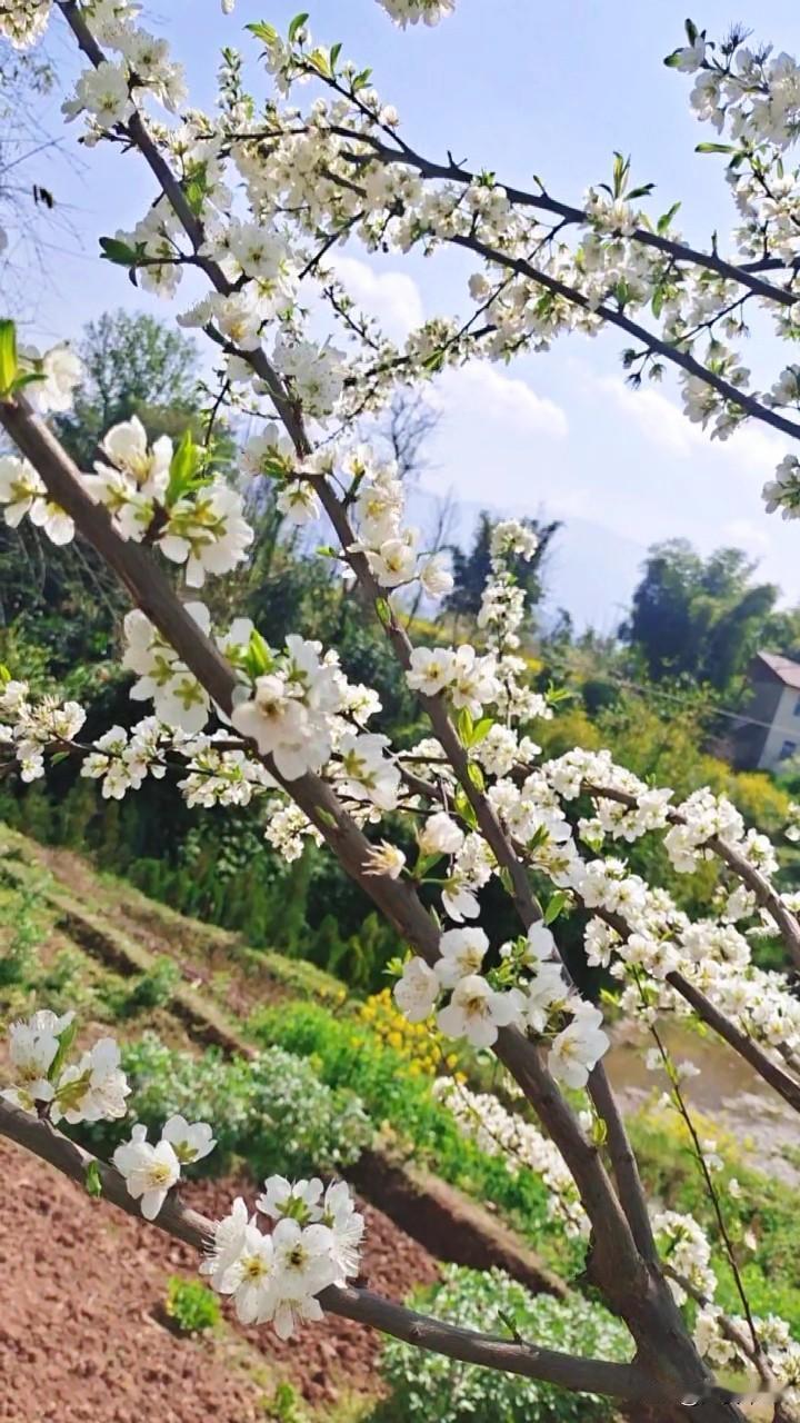 活该我受穷，朋友和别人聊天，一个月赚上万。她把平台推给我，我点进去一看，果断