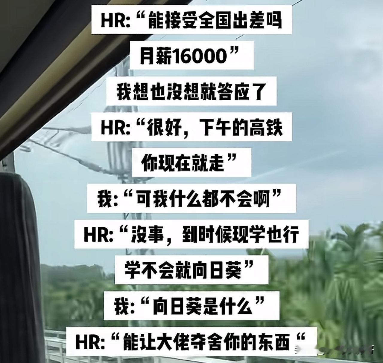 无敌扎心冷笑话什么是向日葵？不是长葵花籽的那个向日葵，是各位电脑新鸟老鸟知道