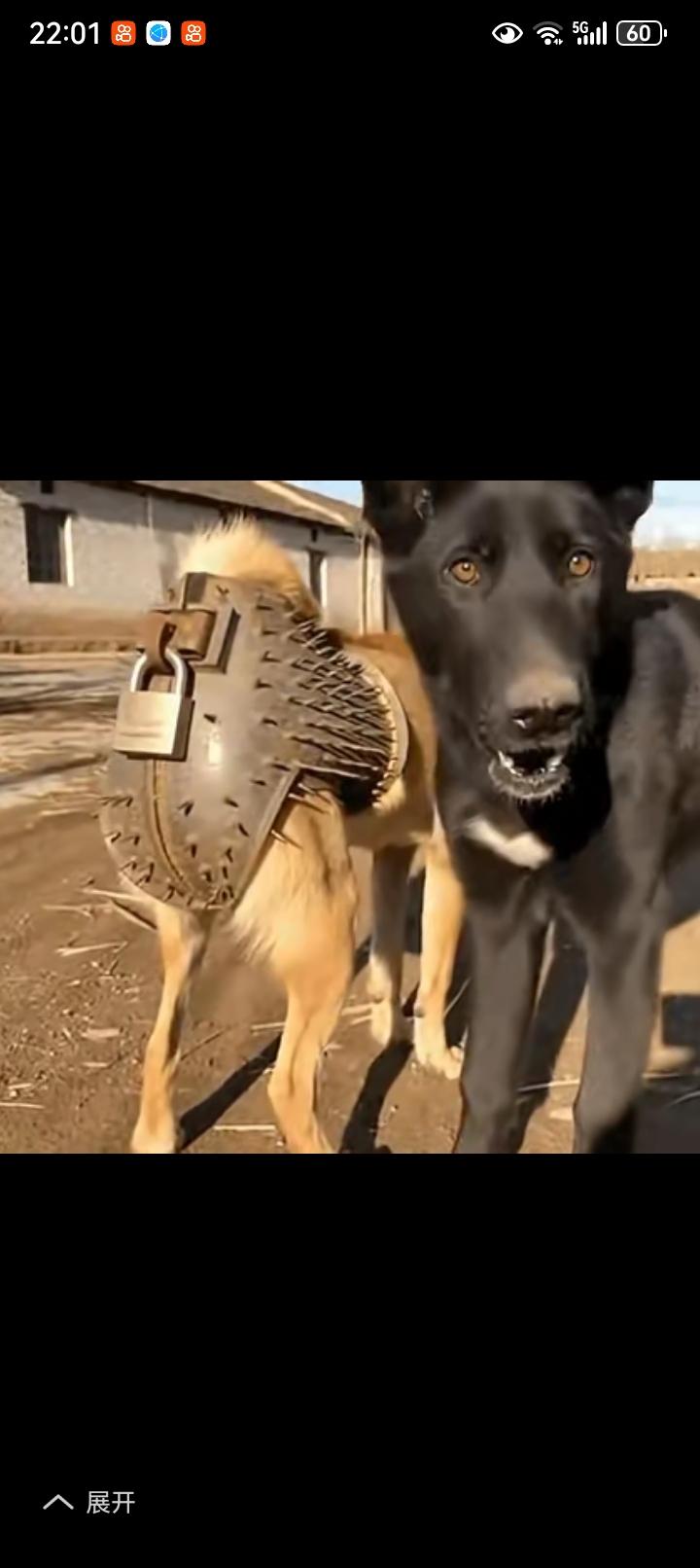 这一招太毒了叫天天不应叫地地不灵只听说锁喉没听说锁屁服难道这就是大家