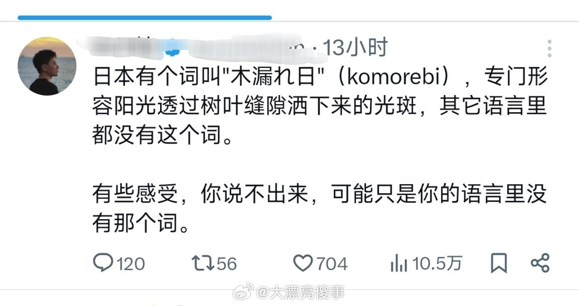 汉语是日语的祖宗。