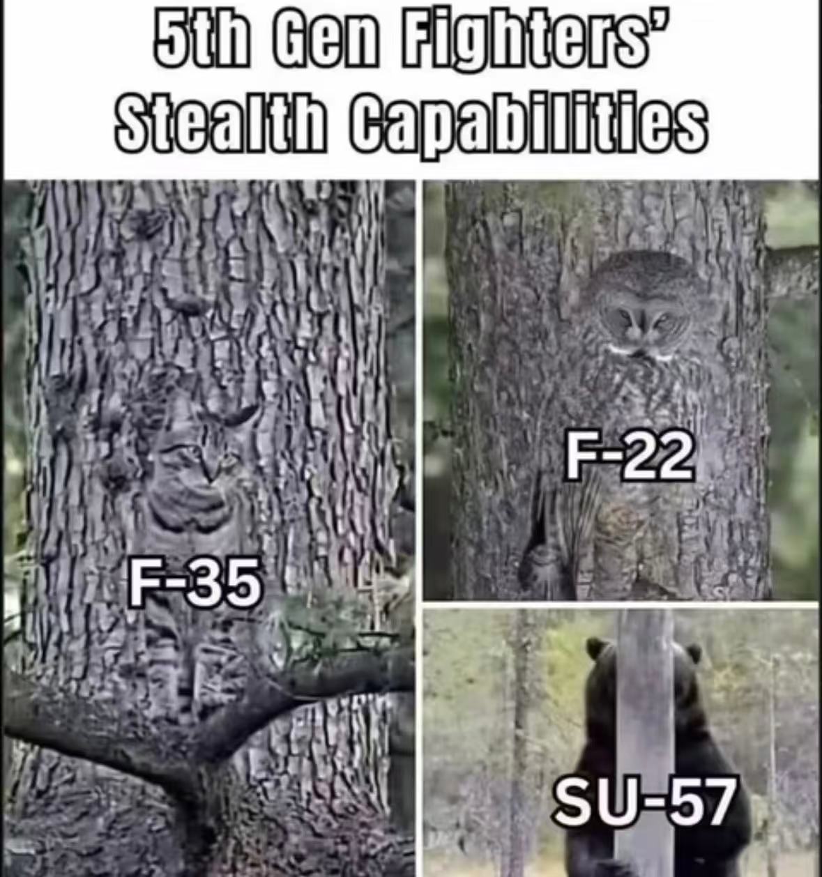 哈哈哈哈哈哈哈哈笑到不行​​​