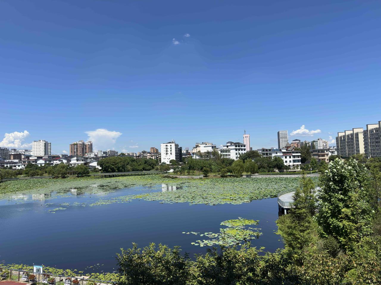 母亲今天要去医院做透析，我中午11:00没到就到了父母家的楼下，没想到我平日雇请