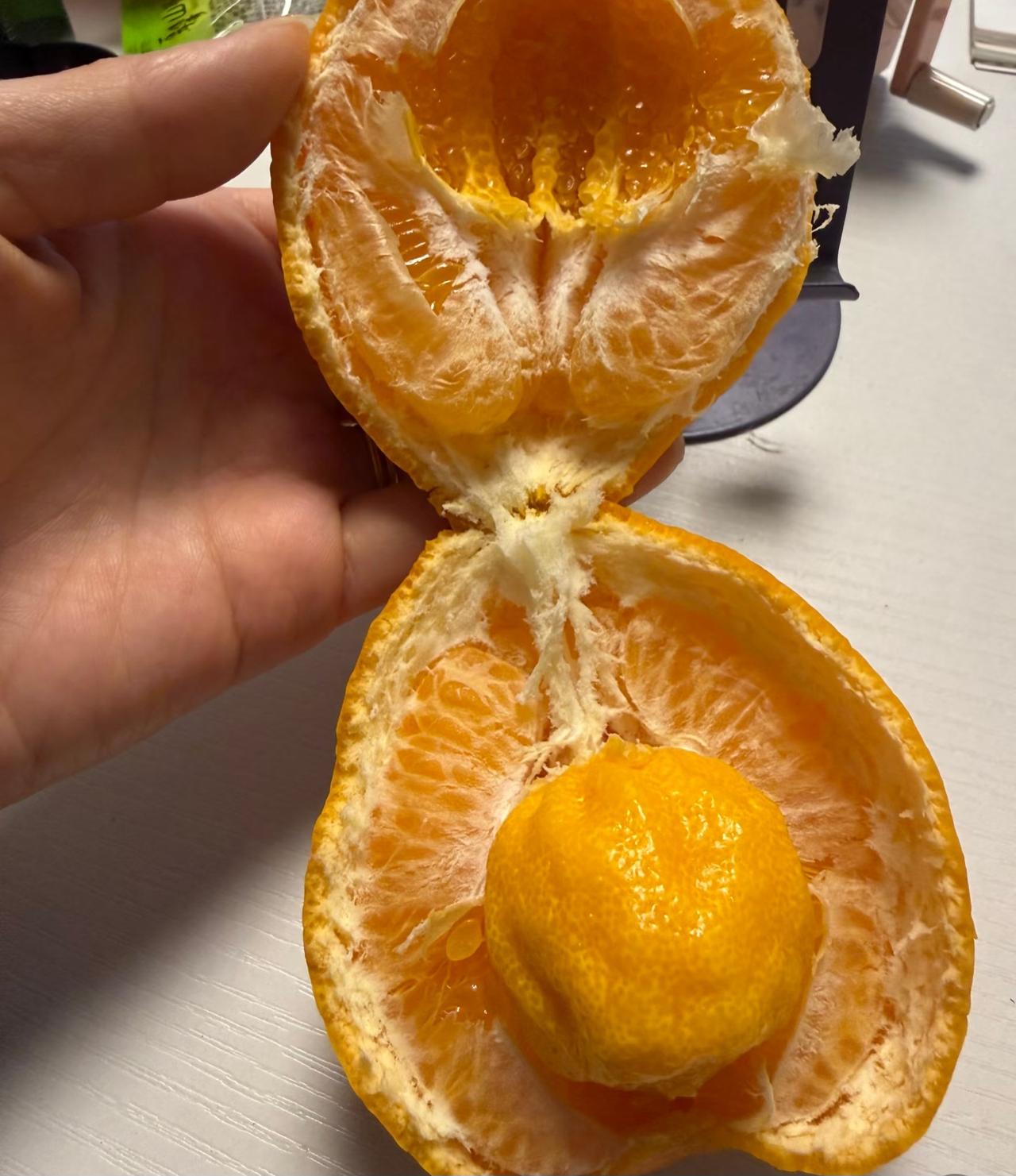 橘子里竟然还藏了个小橘子？昨天在超市里买的耙耙柑剥开直接给我整蒙了里面居然