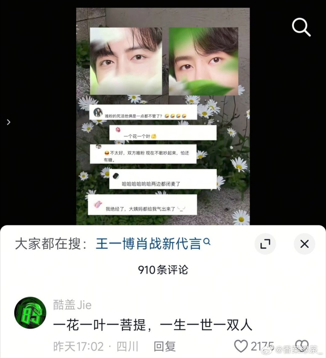 我都没注意到是一花一叶，还是wf会磕