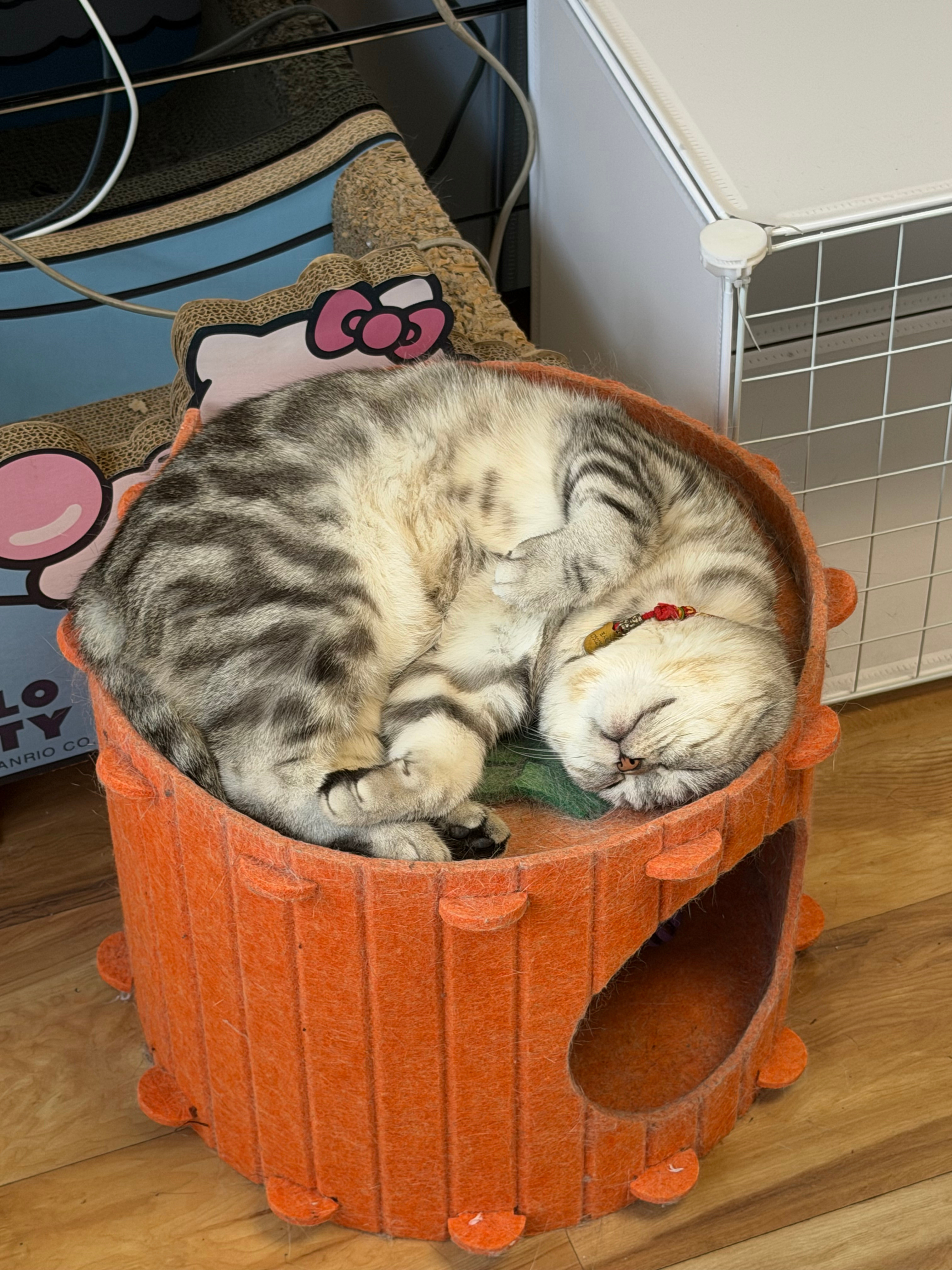 我孩子咋这么可爱