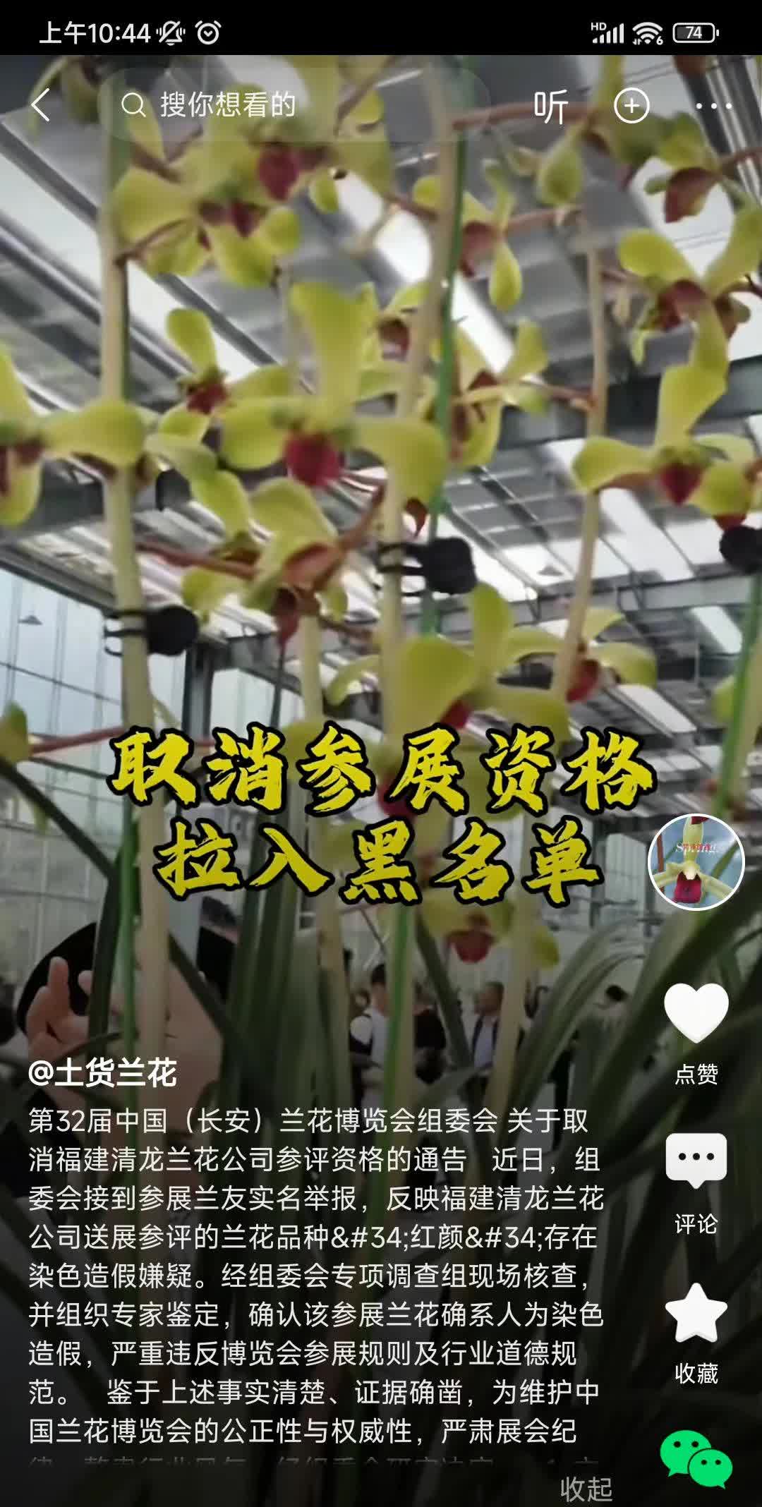 福建你是真敢啊，直播间卖假草、染色花还不满足，还敢拿染色花去兰博会参展。目前这件