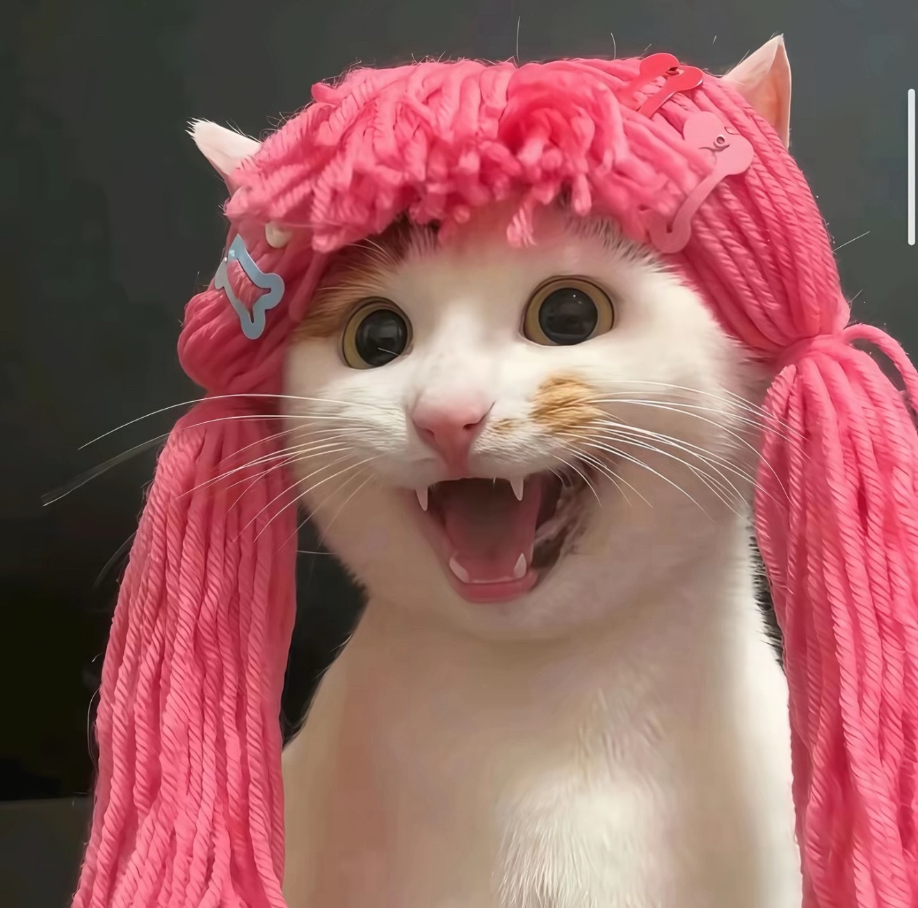 今天摆烂！我身体不舒服​​​