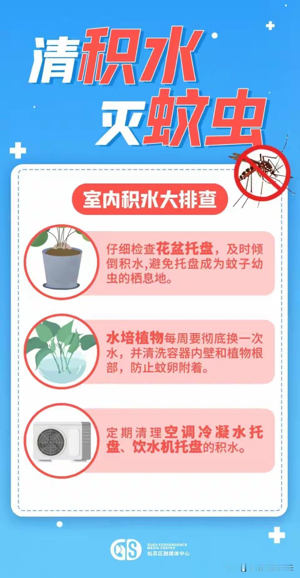 明明倒了积水，蚊子反而更凶了？我们都漏掉了最关键一步你以为把花盆托盘里那点水