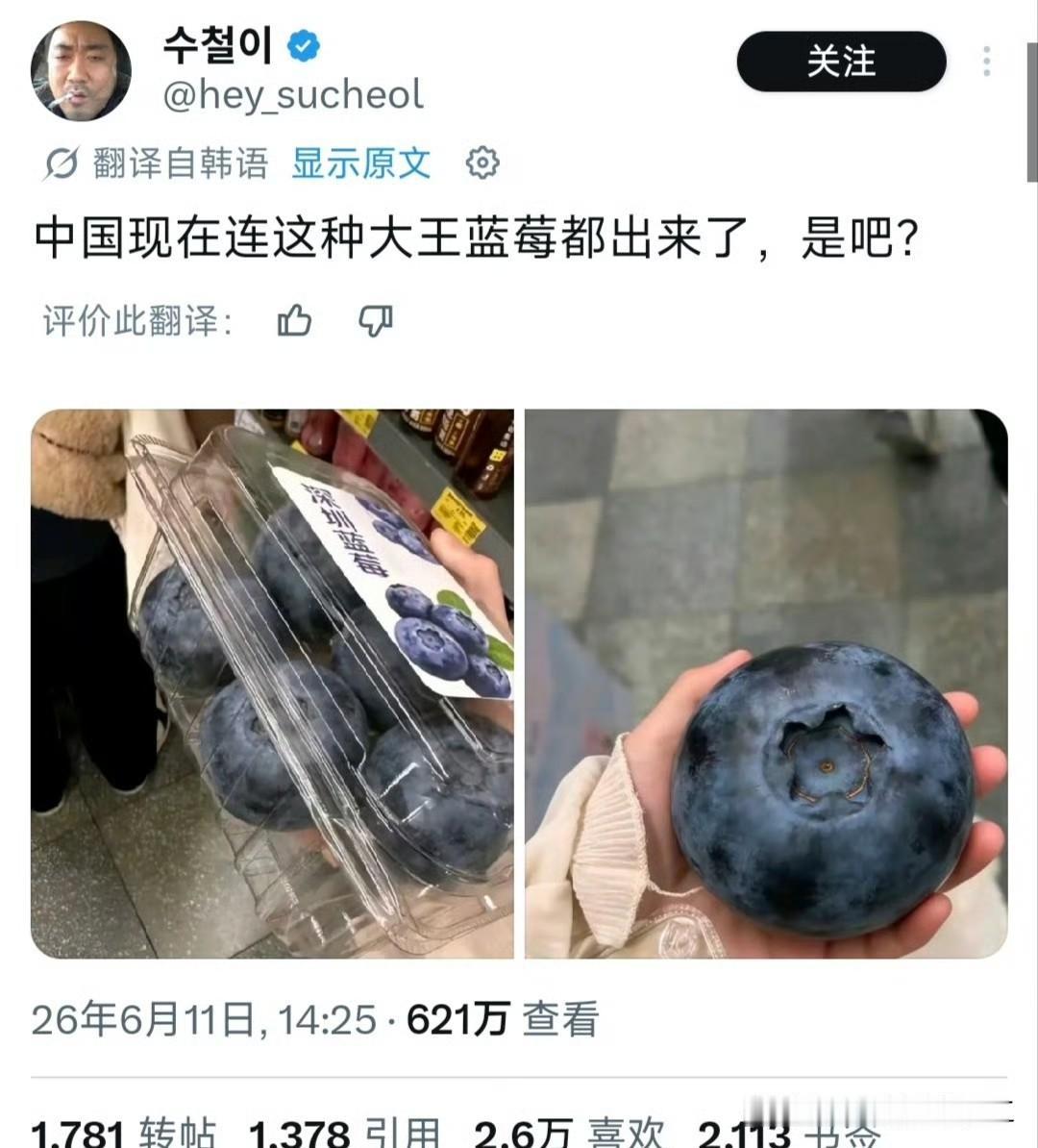 韩国网友把AI蓝莓当真了！