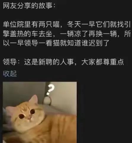 哈哈哈哈，这是新聘的同事[狗头]