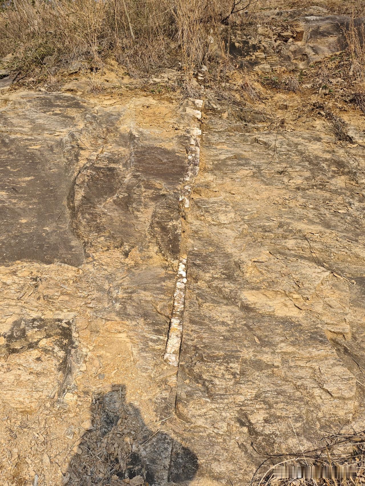 这是我今天到老家山上拍的照片，有没有认识矿脉的网友？请帮忙看看，这里面有金矿吗[