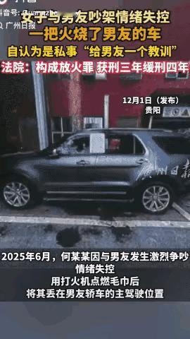 因为与男友生气，何某某一气之下用打火机点燃毛巾，然后扔进了男友的汽车之内。何某