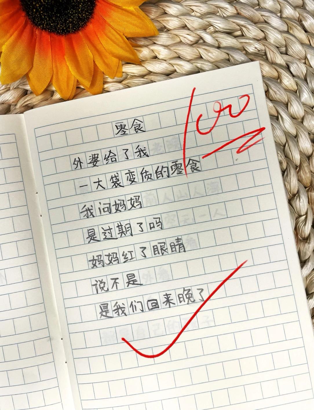 让老师忍不住流泪的小学生诗词！