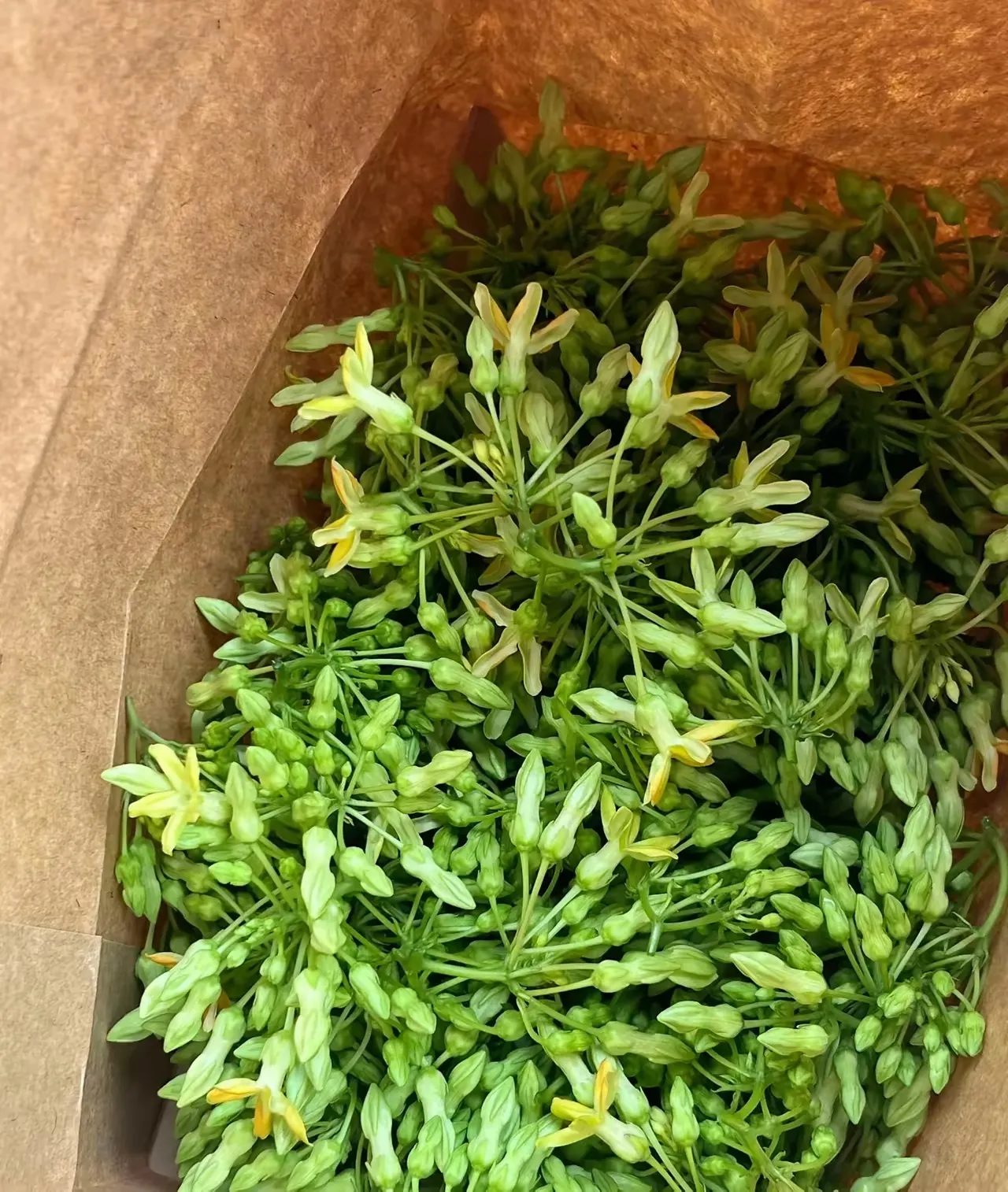 据说这个特色美食只有广东人才会认识，这个在夏季的时候非常的受欢迎