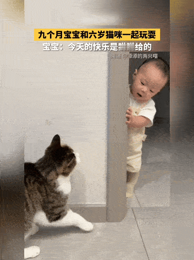 太治愈！九个月宝宝与六岁猫咪嬉戏，画面满是温柔家里同时有萌娃和小猫，这样的
