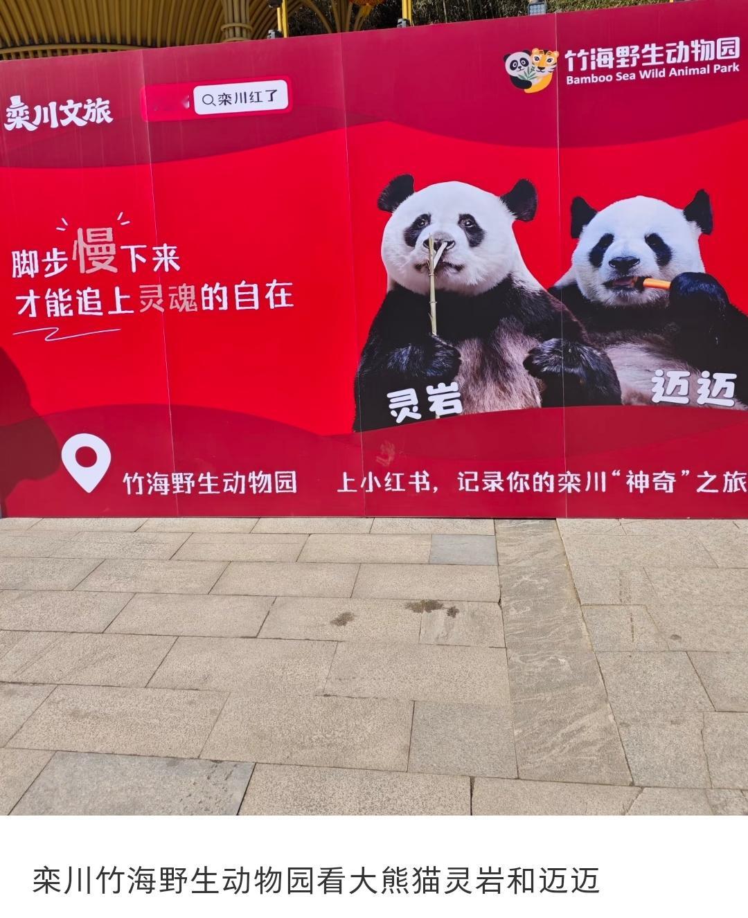 我们灵岩不靠颜值