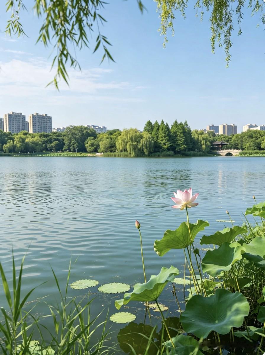 网上有一段特别戳心、无比现实的话：“一定要找一个，吃完饭顺手把碗洗了的人；找一