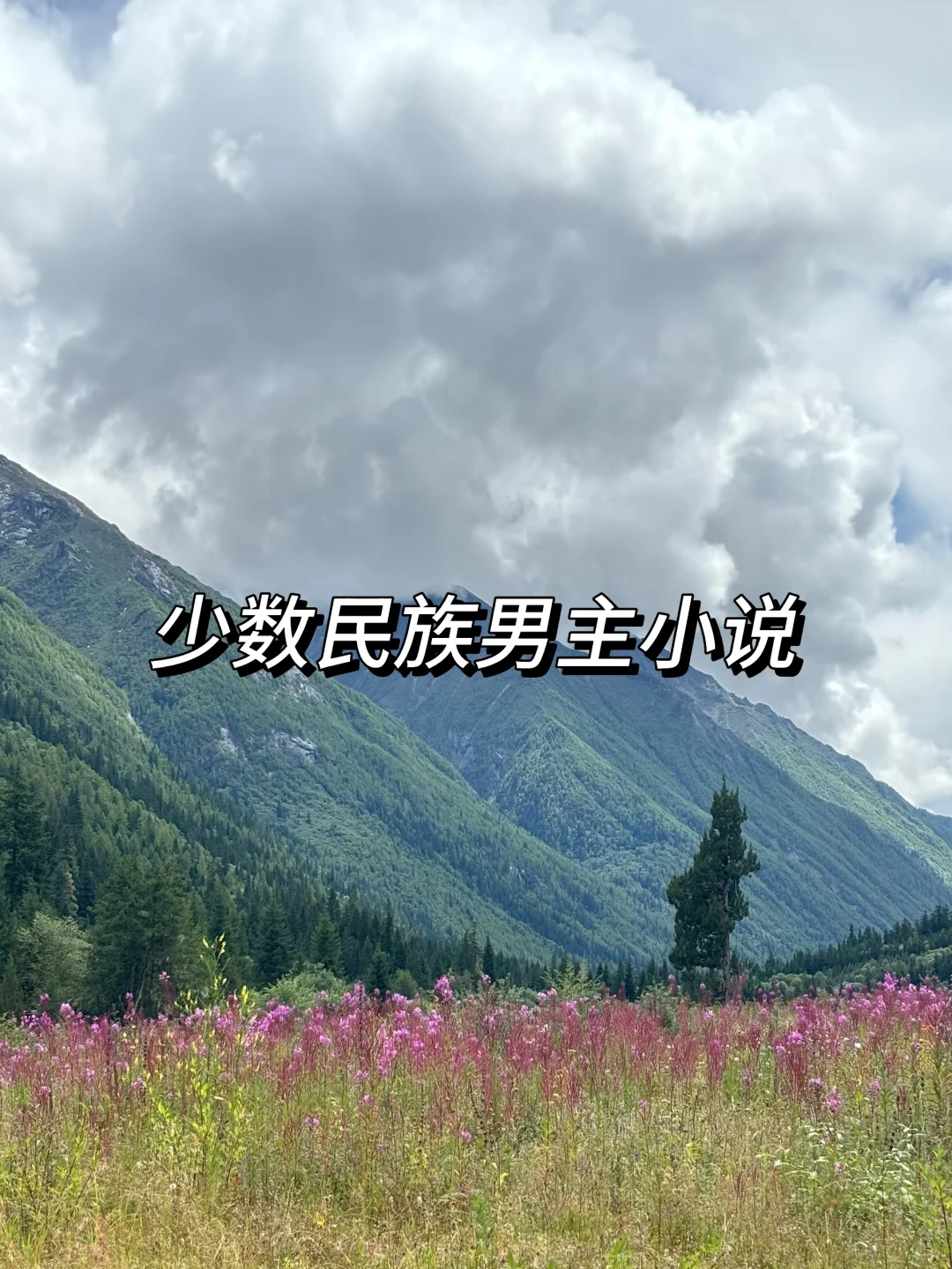 7️⃣超好看少📗（民）族男主小说，超带感！