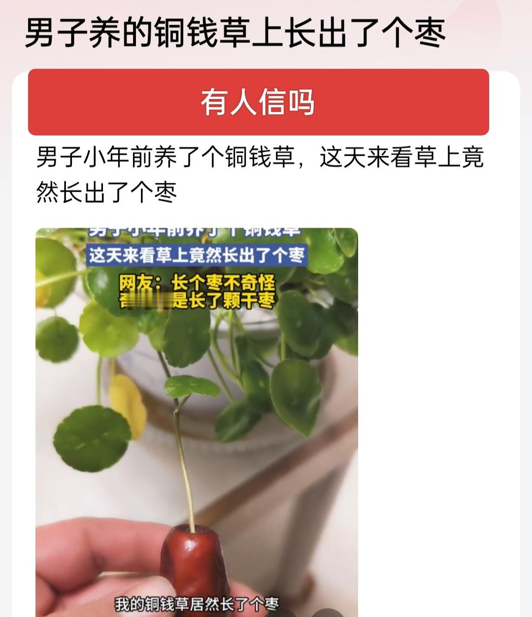 现在啥玩意都能上热搜，啥玩意都敢说，铜钱草上长个枣，你怎么不长个金元宝呀！你再能