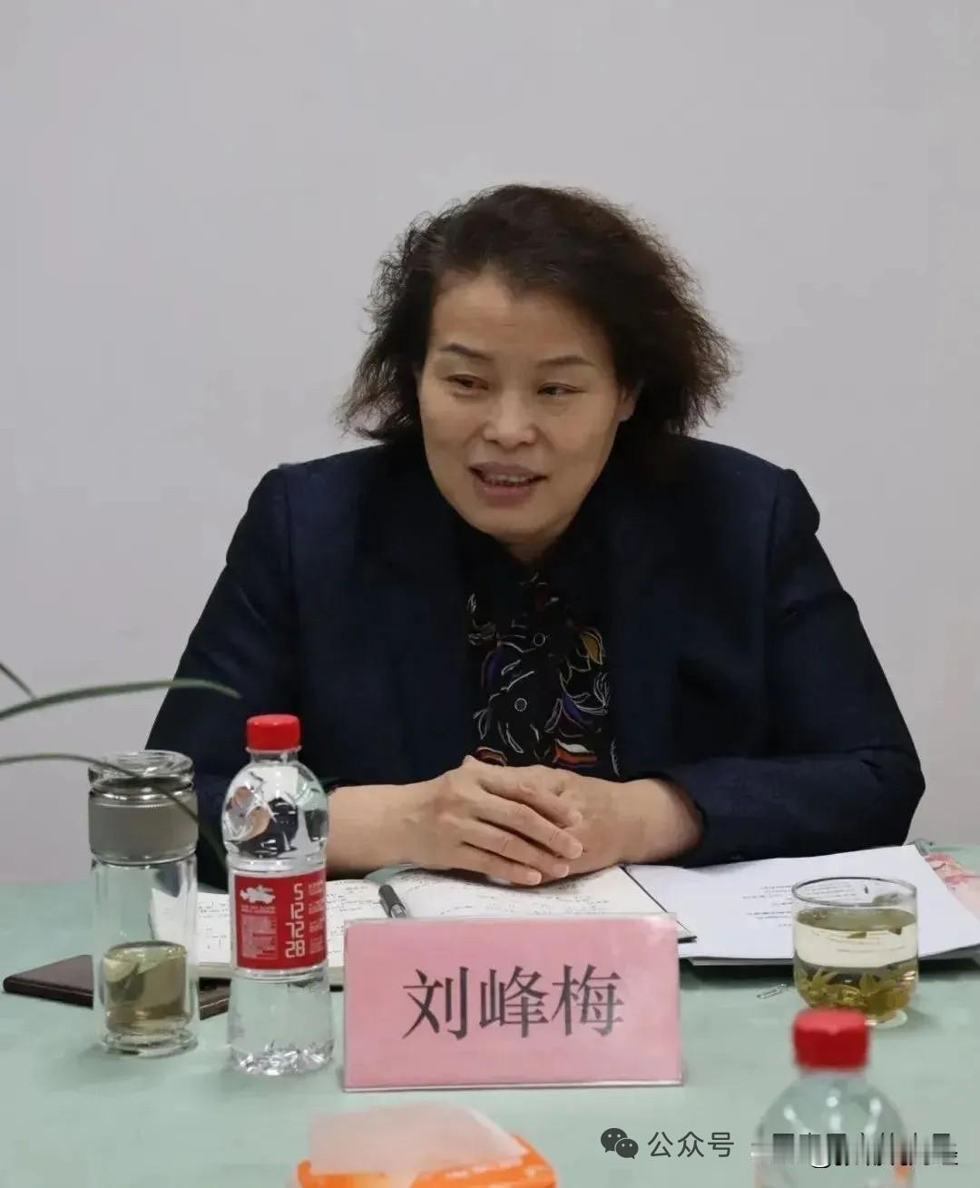 这个卷发凌乱蓬松的中年大妈，名叫刘峰梅，官居副厅级，栽倒在“拟进一步使用”的8个