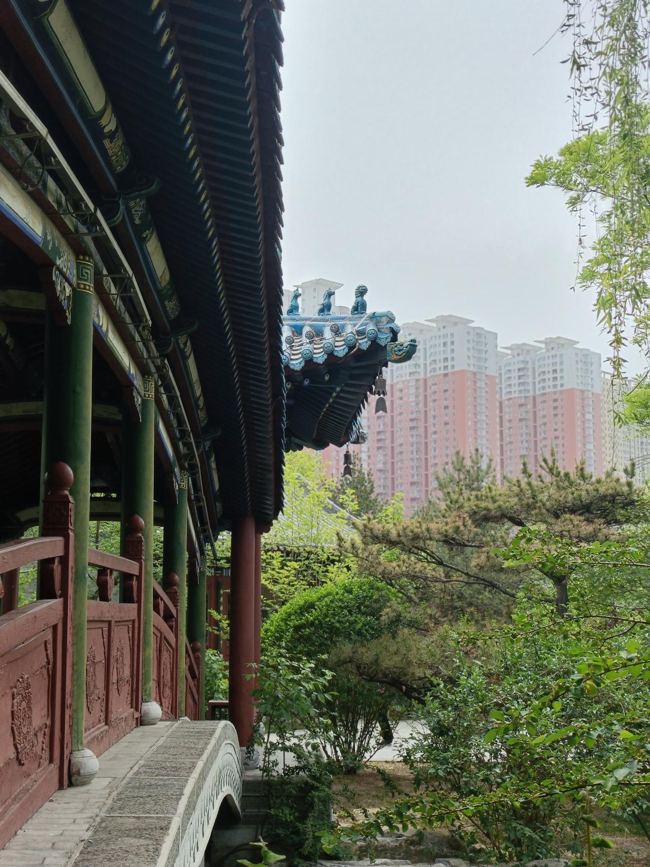 你有哪些随手拍的比较满意的照片