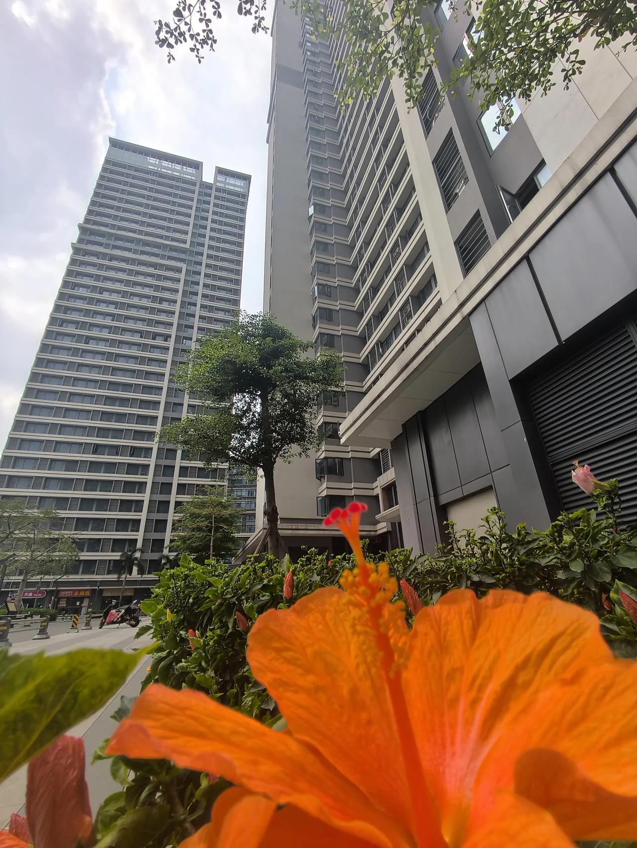 广州公寓好像真的有点香手里积蓄不是很多，却不想再被房租牵着走，最终还是选定了这