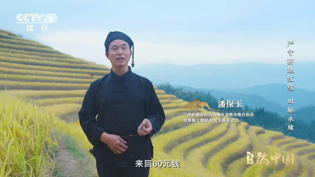 中国梯田美成油画终于亲眼奔赴这片美景！层层叠叠的梯田铺满山坳，光影洒下来，活生