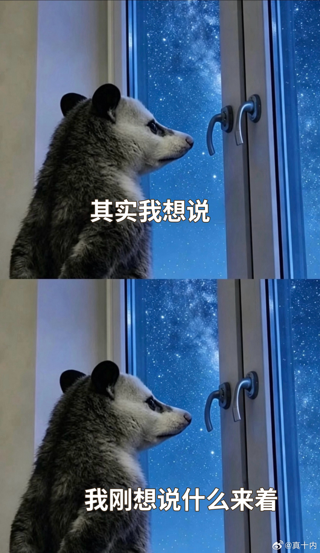 我上年纪每天就这样。。。