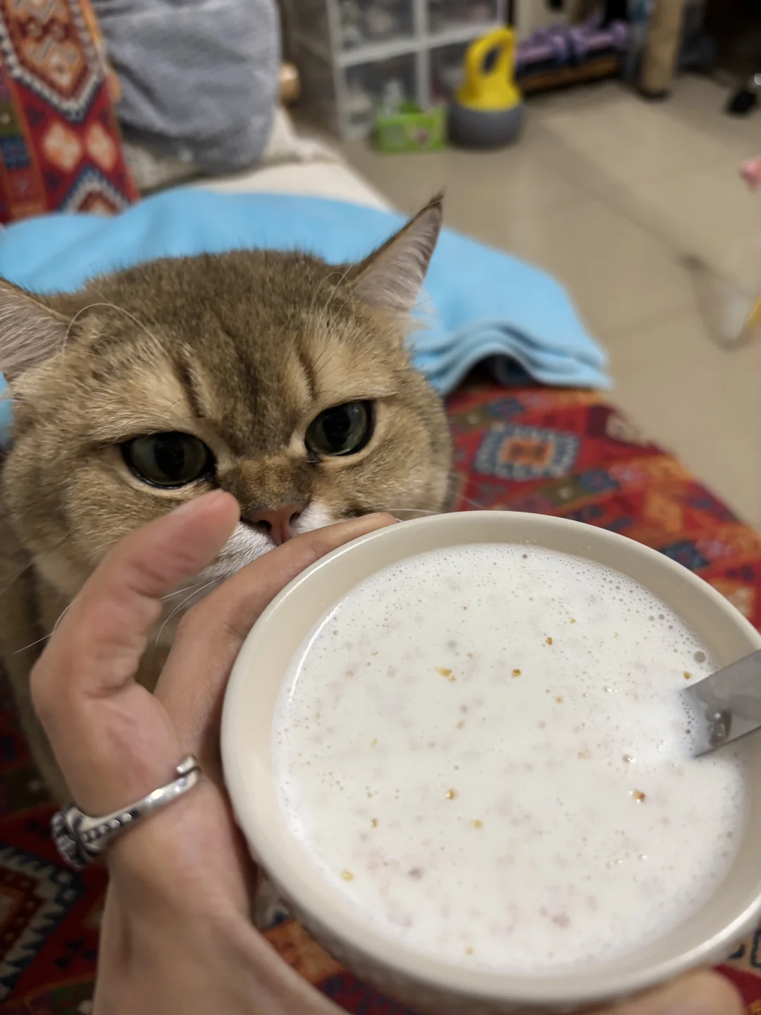 亲测：我的血糖菩萨🙏🏻&血糖地雷💣