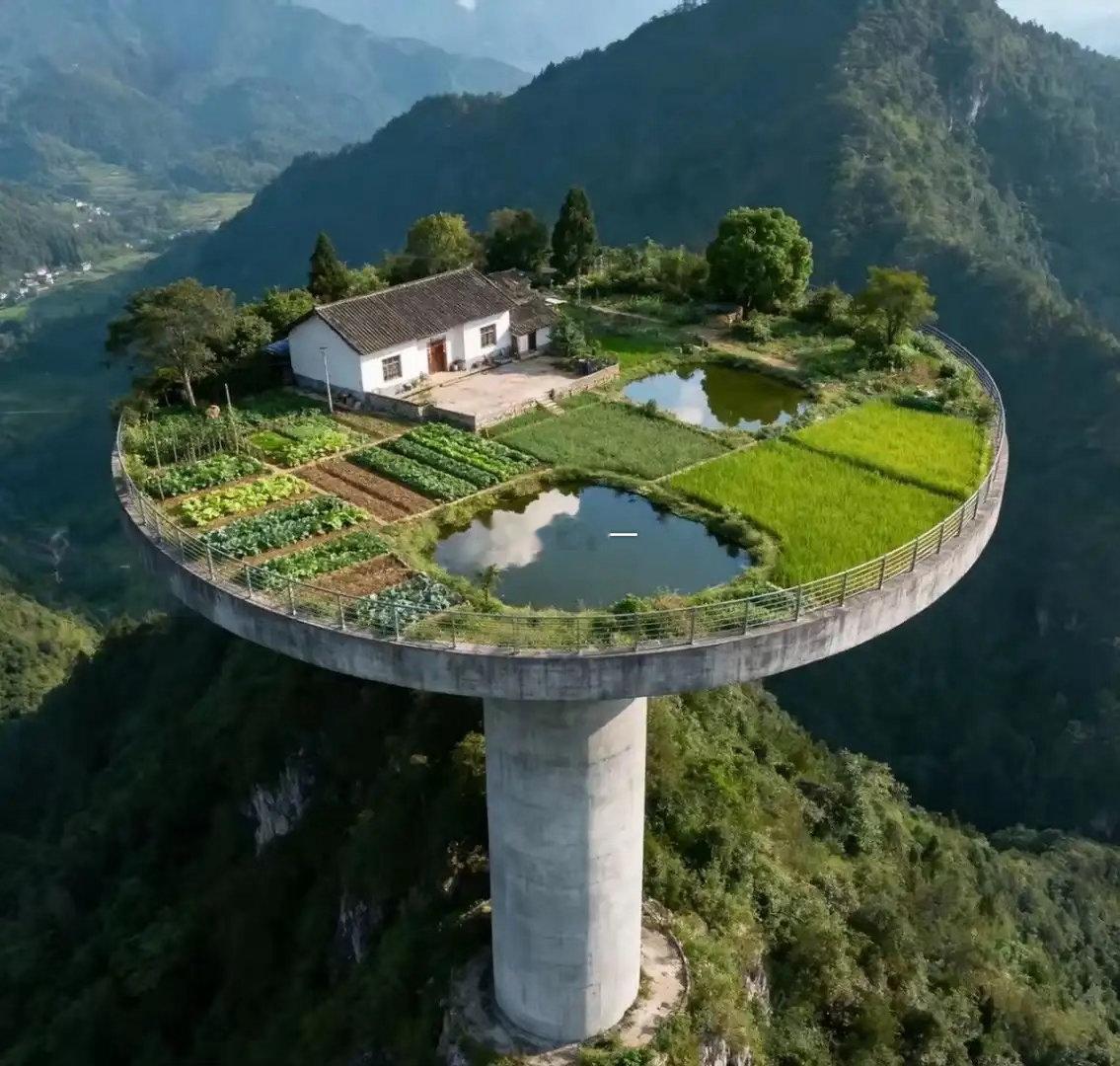 让你一个人住在这里三年你愿意吗？