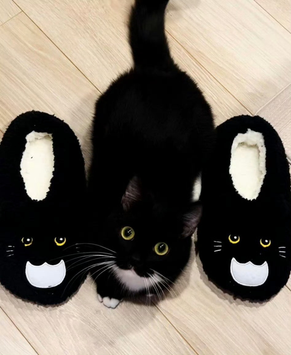 【奶牛猫】当猫咪得知自己是一双拖鞋🥹
