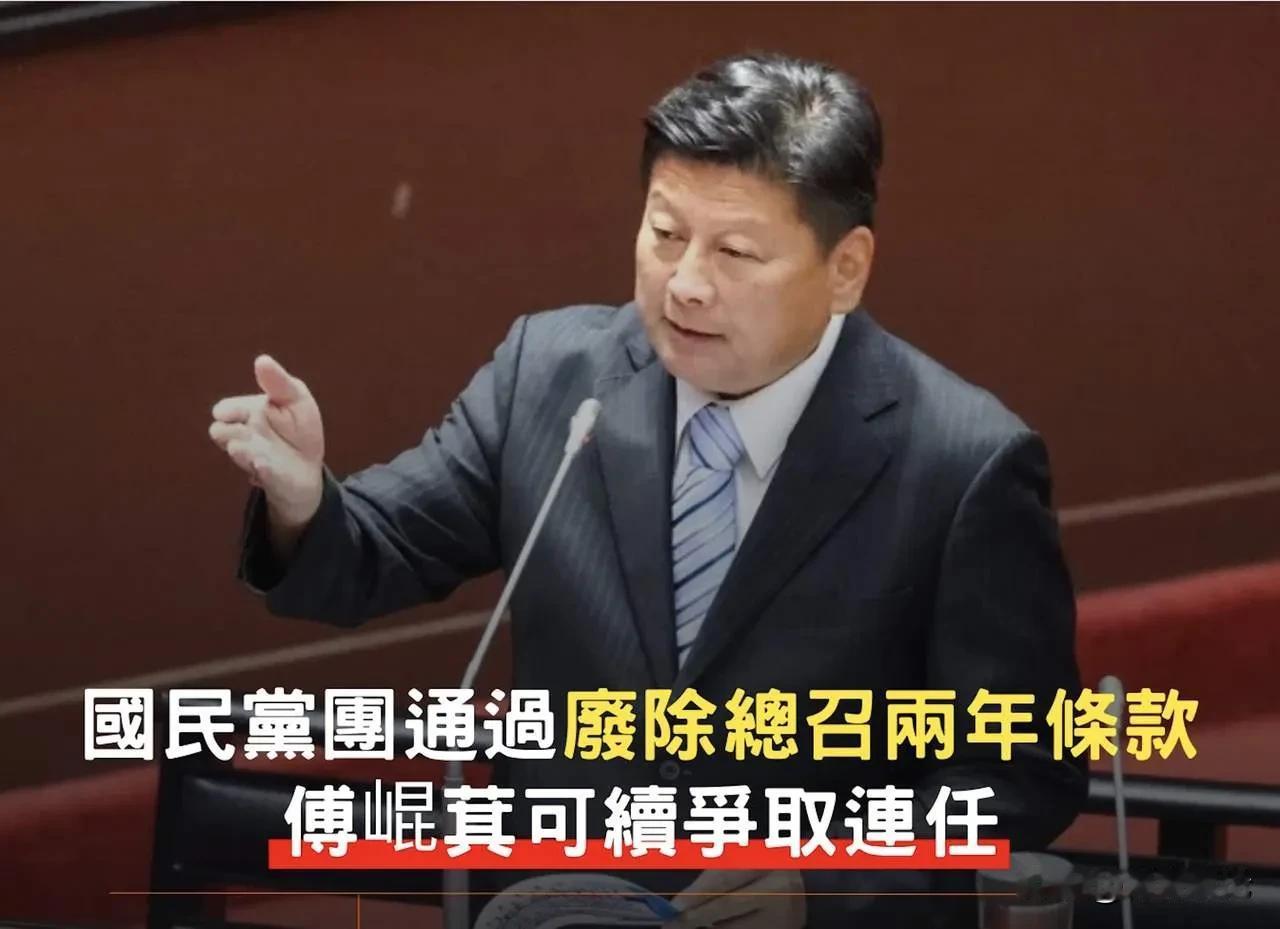 在38位立委的力推下，国民党党团通过废除总召两年规定，最大的受益者就是现任总召傅