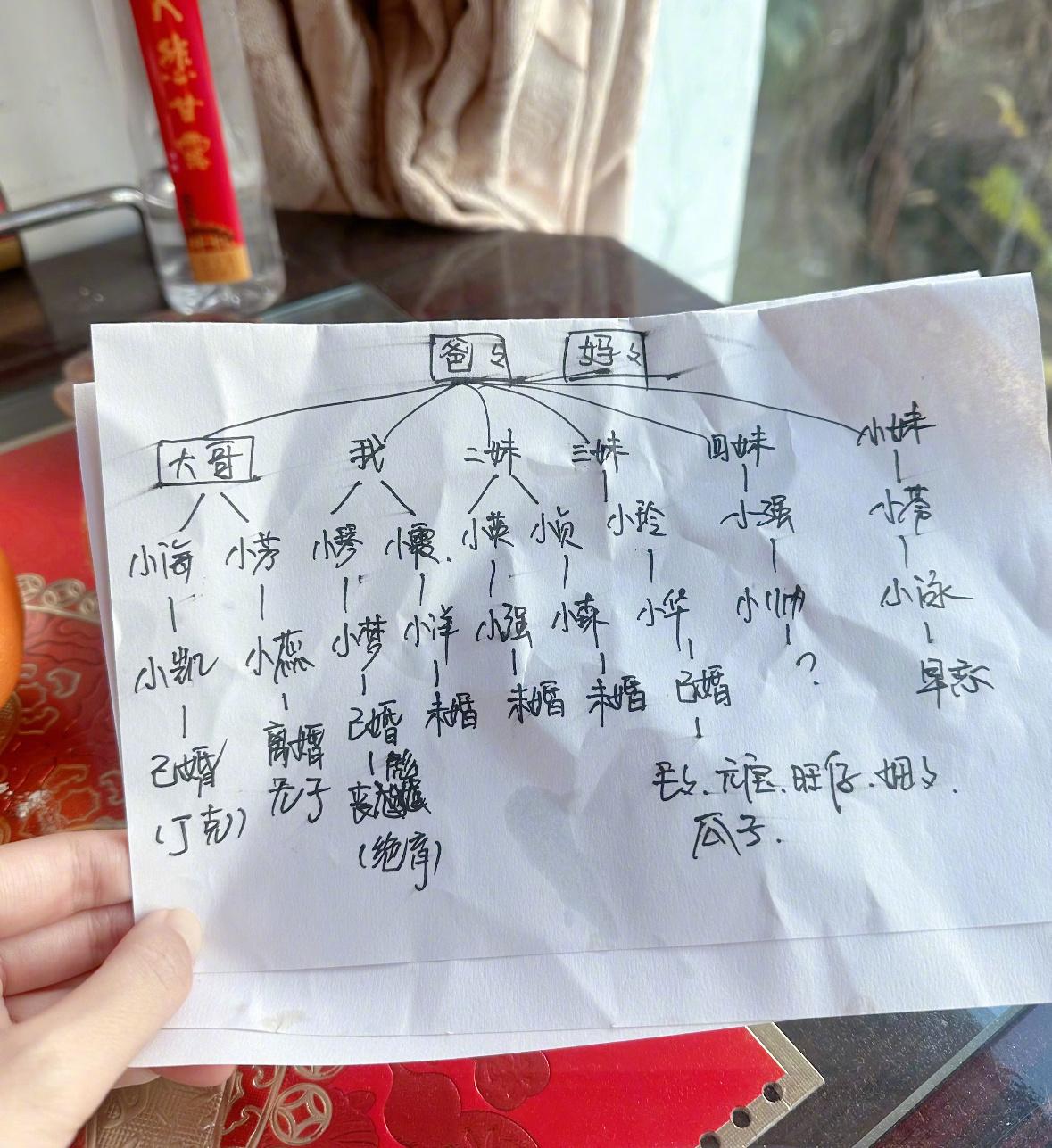 刷到一个帖子，80岁的外婆整理的家谱，家谱编到最后，物种都变了。果然是一代人有