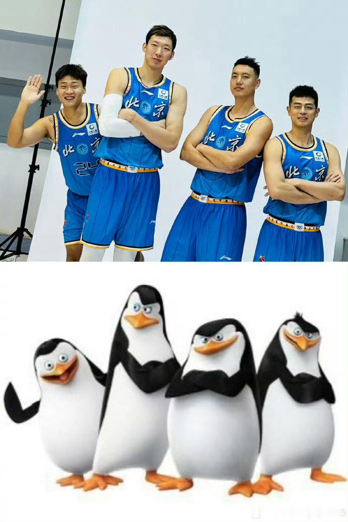 哈哈哈哈哈哈哈哈哈哈哈这么搞笑