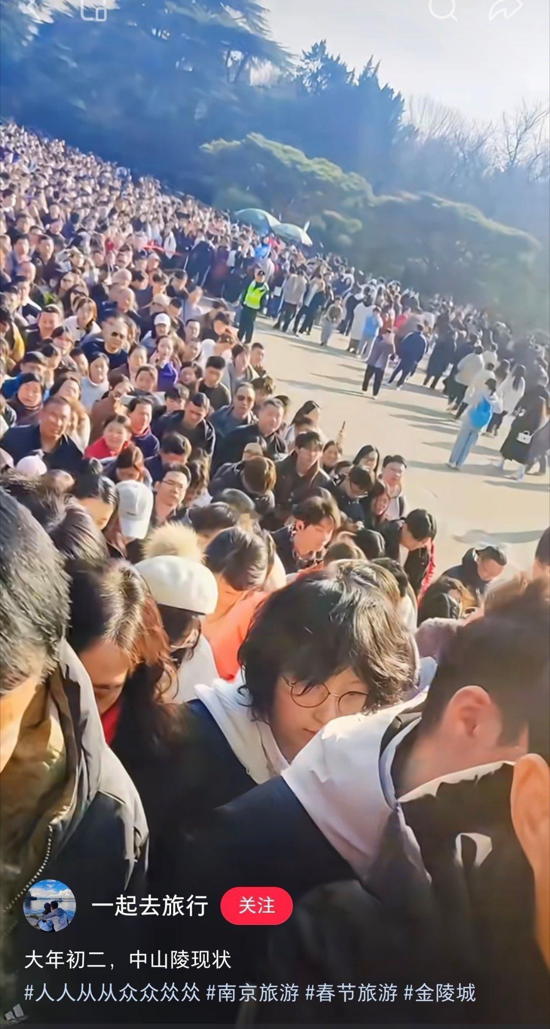 南京、苏州、杭州、漳州、厦门……到处都是“人从众”，“朋友圈”里也到处是出行的照