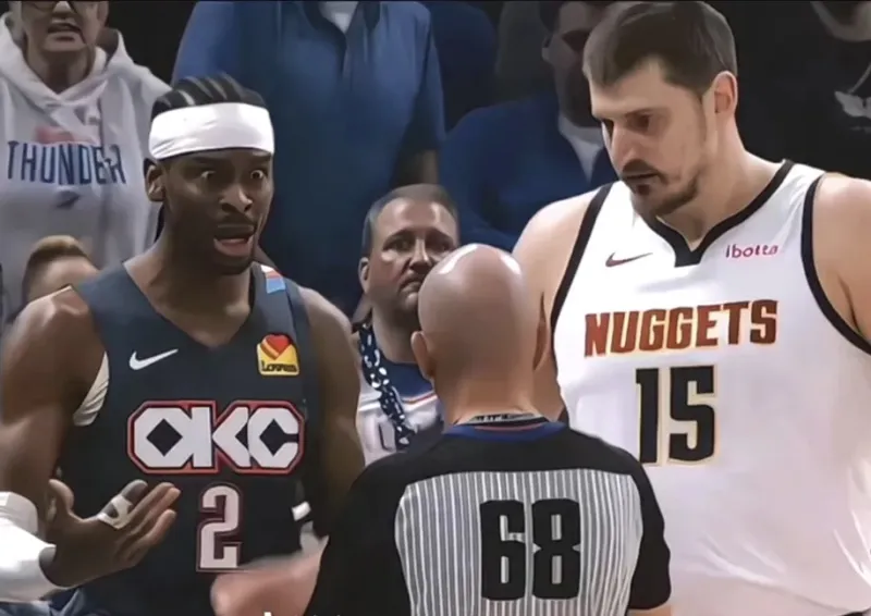 鸭梨受到的什么犯规尺度？约基奇呢？鸭梨前仰跳投骗骗犯规，进攻还能肘子开路，顺