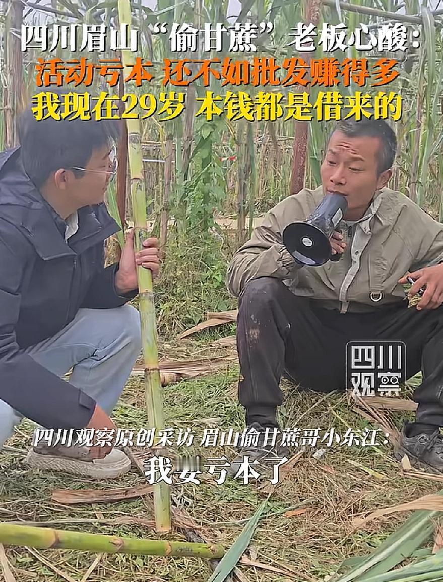 每天去“偷甘蔗”的人络绎不绝，但老板赚的还没批发的多，不是老板没抓住这波