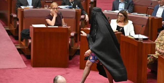 澳大利亚政坛最近直接上演“魔幻大戏”，71岁的极右翼“一国党”领袖、参议员汉森，