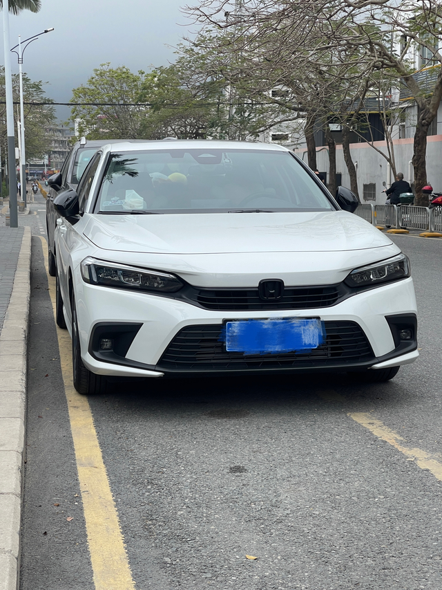 思域小改动就贴了个黑标加了个黑耳朵是因为被别人刮了两次后视镜然后改了个皮座