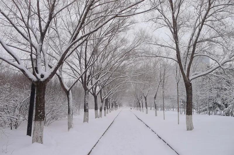 大范围雨雪要来了，超十省区市都受影响。这天气变化可真是让人猝不及防。想象一下，雪