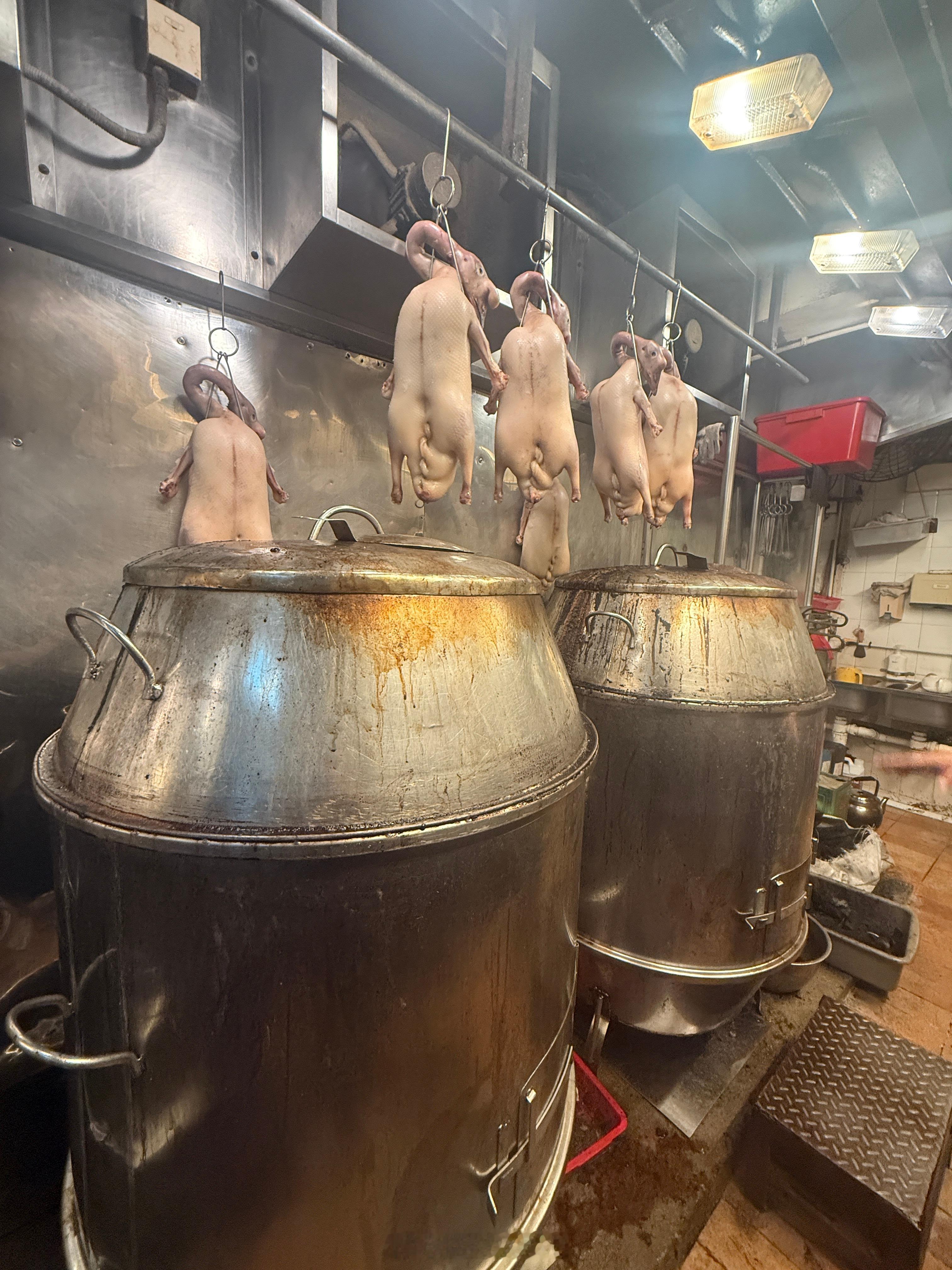 来吃个深井烧鹅68年老店16年米其林…