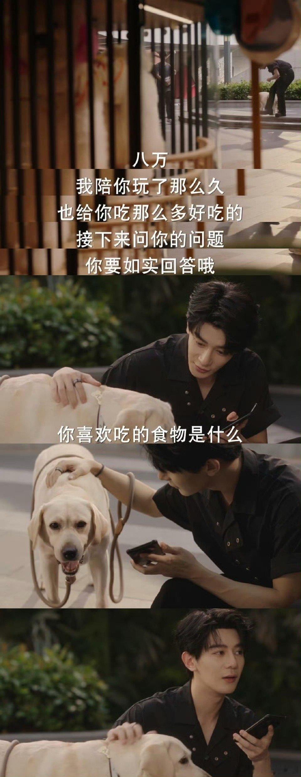 夏之光新剧给狗相亲给狗狗相亲的电视剧如何呢？夏之光新剧还是太超前了，这年头坐红娘