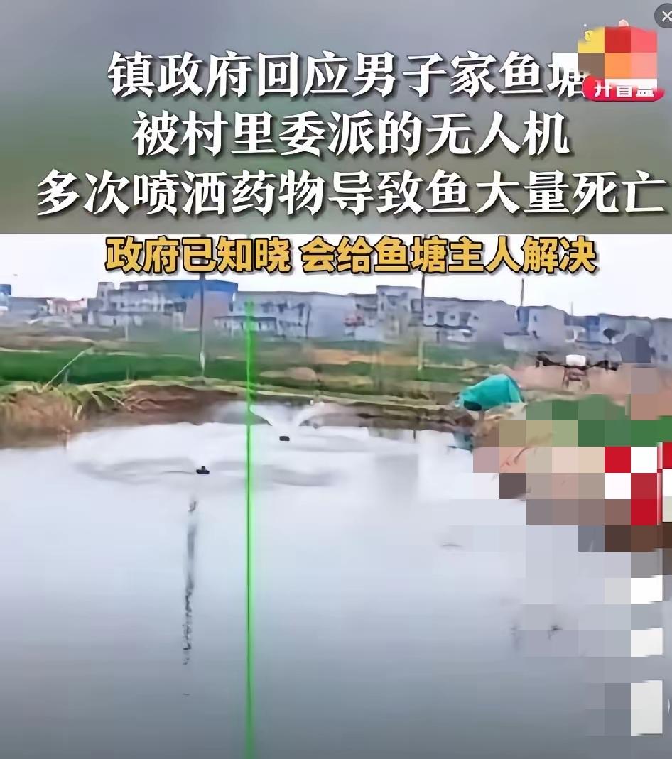 真是越来越离谱了！之前无人机给油菜花乱打药，毒死成片蜜蜂的事还没过去，现在居然